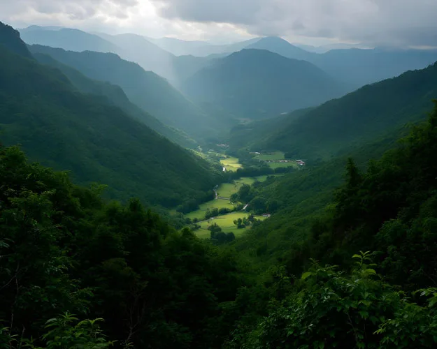 Hill Wilderness